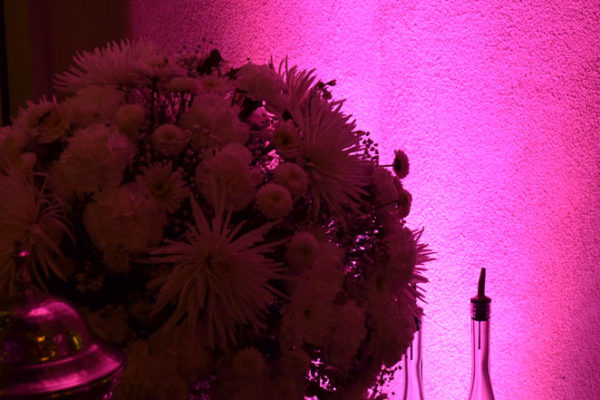 inspirador-chandler-wedding-pink-wedding-lighting-041313-karma4me-com-12