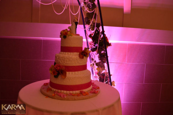 noahs-chandler-pink-wedding-lighting-041113-karma4me-com-3