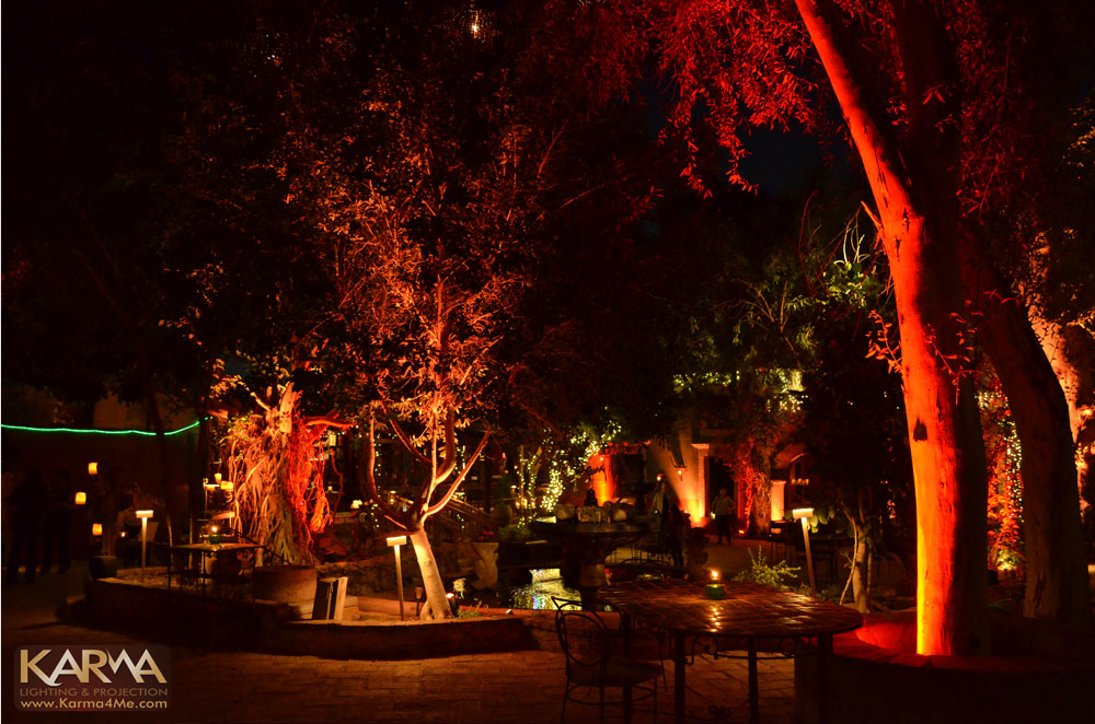 Wedding & Event Network at Boojum Tree Phoenix Red and Amber Event Lighting