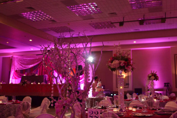 orangetree-scottsdale-pink-wedding-lighting-karma-event-lighting-040514-5