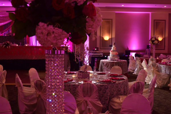 orangetree-scottsdale-pink-wedding-lighting-karma-event-lighting-040514-6