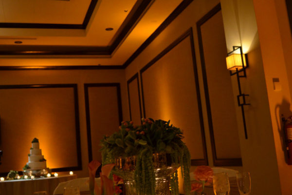wigwam-resort-mohave-amber-wedding-uplighting-cake-pinspot-karma-event-lighting-041114-5