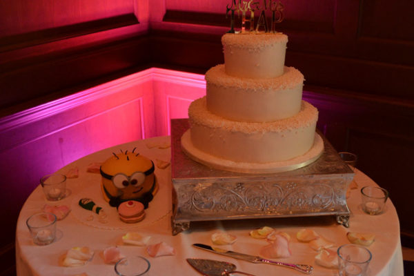 villa-siena-wedding-blush-pink-uplighting-digital-monogram-karma-event-lighting-gilbert-az-062814-7
