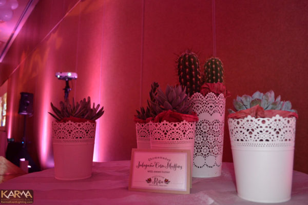 wigwam-litchfield-birthday-theme-pink-lighting-pattern-wash-digital-gobo-karma-event-lighting-032214-5