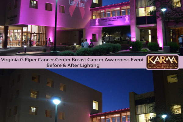 Virginia-G-Piper-Breast-Cancer-Awareness-Pink-Bridge-Karma-Event-Lighting-093014-6