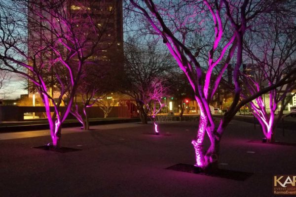Purple-Uplight-Trees-Phoenix-Art-Museum-Karma-Event-Lighting-021018