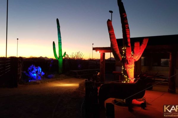 Cocoraque-Ranch-Tucson-Cactus-Colors-Karma-Event-Lighting-102718