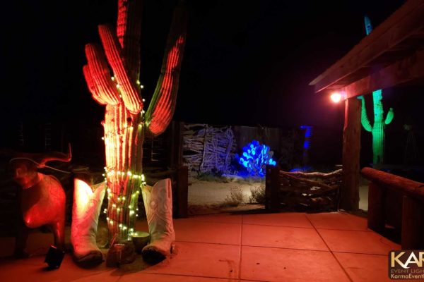 Cocoraque-Ranch-Tucson-Cactus-Uplighting-Karma-Event-Lighting-102718