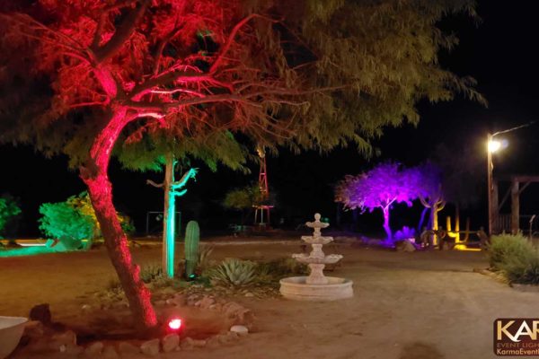 Cocoraque-Ranch-Tucson-Desert-Tree-Uplighting-Karma-Event-Lighting-102718