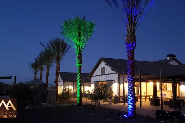 Outdoor-Lighting-Meritage-Homes-Color-Gothic-Landscape-2019-4-26
