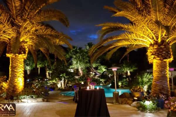 Surprise-Birthday-Party-Private-Residence-Paradise-Valley-Amber-Landscape-Lighting-Animated-Digital-Gobo-Karma-Event-Lighting-1-6-19
