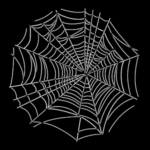 Spider Web 3091 B (2)