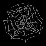 Spider Web 3092 B (2)