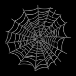 Spider Web 3093 B (2)