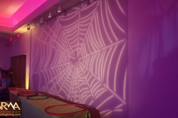 Desert-Botanical-Gardens-Halloween-Kids-Party-Spider-Web-Gobo-Lighting-Karma-Lighting-2018-10-26