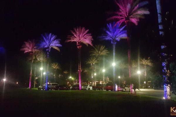 Wigwam-Corporate-Palm-Tree-Color-Karma-Event-Lighting-102216